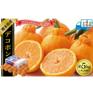 �y�ӂ邳�Ɣ[�Łz�y�N4�����ցz�f�R�|�� 1�񂠂����5kg�i15�`20�ʓ���j �v��20kg�i��5kg×4��j �ł��ۂ� ���k ���񂫂� �H���@�� �t���[�c �������� �ʕ� �ʎ� �f�U�[�g �F�{���Y ���Y ��B 