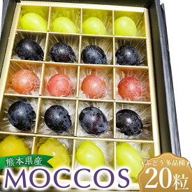 【ふるさと納税】 MOCCOS （ぶどう多品種20粒入り） 【2026年8月上旬上旬発送開始】 ぶどう 葡萄 果物 フルーツ 果実 粒 デザート おやつ 詰合せ 食べ比べ ご褒美 贅沢 プレゼント 国産 九州 熊本県 送料無料