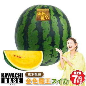 熊本県産 金色羅王スイカ 1玉 約7kg ｜希少 すいか ...