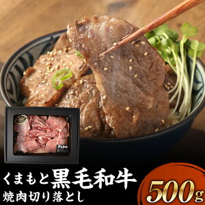 yӂ邳Ɣ[Łz ܂ƍјa ē؂藎Ƃ 500g MtgBOX ₫ɂ Ă LjN ؂藎Ƃ 肨Ƃ  ɂ    јa Mtg  蕨 Ⓚ Y F{