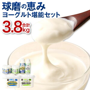yӂ邳Ɣ[Łžb [Og \ Zbg v3.8kg Esgp [Og 1000g×e1 ̂ރ[Og 450g×e1{ 150g×e3{ lߍ킹  XC[c i F{Y Y