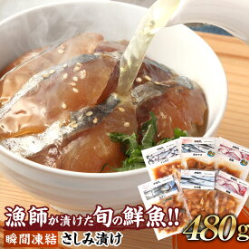 【ふるさと納税】 瞬間凍結 さしみ漬け 480g 80g×6袋 刺身 さしみ 漬け 漬け丼 漬け魚 漬け魚セット 魚 さかな 魚介 海鮮 海鮮 丼 海鮮丼の具 海鮮セット セット 詰め合せ 詰め合わせ 熊本県 送料無料