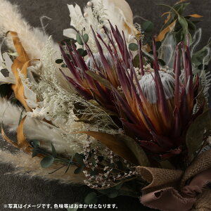 yӂ邳Ɣ[ŁzhCt[ XbO LTCY c75cmȏ × 53cmȏ ꑩ CeA ԑ ԙ ܂ bsO hCH B F{  yVX[p[SALE 9J