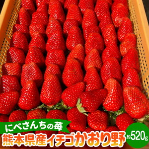 yӂ邳Ɣ[Łzɂׂ񂿂 F{Y C`S  520g 260g(6`9)×2pbN   t[c  ʕ ʎ ① B F{  y2025N12{Jnz