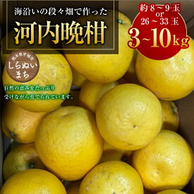【ふるさと納税】＜選べる内容量＞熊本県宇城市不知火町の海沿いの段々畑で作った「河内晩柑」 約3kg（約8～9玉） / 約10kg（26～33玉） 河内晩柑 柑橘 みかん ミカン 蜜柑 オレンジ くだもの 果物 果実 フルーツ 国産 九州 熊本県産 送料無料 【2026年4月下旬発送開始】