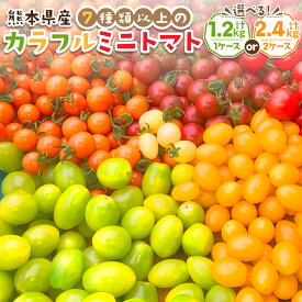 【ふるさと納税】〈選べる内容量〉 【2026年11月上旬発送開始】熊本県産食卓を彩る7種類以上の色鮮やかなカラフルミニトマト 4箱入り1ケース 計1.2kg または 2ケース 計2.4kg 野菜 とまと トマト リコピン 詰合せ ミックス プチトマト 食べ比べ