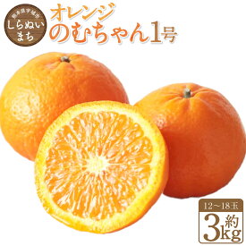 【ふるさと納税】熊本県宇城市不知火町の海沿いの段々畑で作った「オレンジ（のむちゃん1号） 」 約3kg（12～18玉） 柑橘 くだもの 果物 果実 フルーツ 熊本県産 国産 九州 熊本県 送料無料 【2026年3月上旬発送開始】