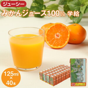 yӂ邳Ɣ[ŁzW[V[ ݂W[X100 w 125ml×40{ v5,000ml 5L W[X ~JW[X IWW[X pbN ʏ` Y B F{ 
