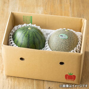 【ふるさと納税】熊本県産 小玉すいか1玉(1.5kg以上)と肥後グリーンメロン1玉(1.6kg以上)スイカ 西瓜 メロン 果物 くだもの 果実 フルーツ 旬 お取り寄せ 贅沢 ご褒美 ギフト 国産 九州 熊