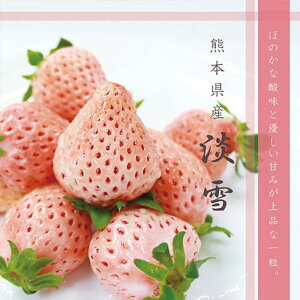 yӂ邳Ɣ[ŁzF{Y  Wi䕁j500g C`S  t[c G ʕ  ʎ y ① B F{  y2026N2{Jnz