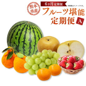 【ふるさと納税】【年6回定期便】熊本県産 フルーツA（奇数月発送） 年6回 定期配送 69000円 6万9000円 定期便 デコポン 温州みかん 苺 シャインマスカット 梨 柑橘 フルーツ 果実 果物 くだもの 九州 熊本県 送料無料