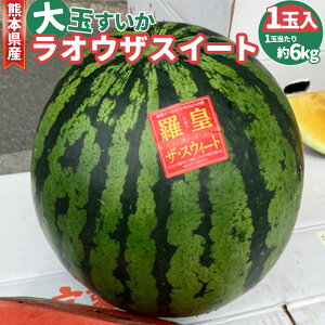 yӂ邳Ɣ[ŁzF{Y ʂ IEUXC[g1ʓ 1ʓ 6kg   XCJ Z c t[c ʎ ʕ  x12`13x IEUXC[g 1 B 퉷 F