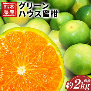 yӂ邳Ɣ[ŁzF{Y O[nEX 2LO 2kg nEX  ݂ ~J k n t[c ʎ ʕ  B ① F{  y2026N7{Jn