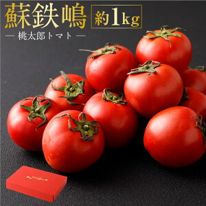 yӂ邳Ɣ[ŁzhSiYg}gj 1kg y2026N5{Jnz g}g g}g Ƃ܂  F{Y x B F{  yVX[p[SALE 9J