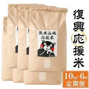 yӂ邳Ɣ[Łzyߘa7NxYāzy6ցz  v60kg 10kg×6 y2025N11{Jnz  z    Ђ̂Ђ qmqJ Y B F{ 