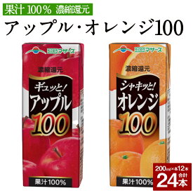 【ふるさと納税】アップル100とオレンジ100のセット 合計24本 200ml×各12本 合計4,800ml 4.8L 2種 セット アップルジュース 林檎 りんご リンゴ ジュース オレンジジュース オレンジ みかん みかんジュース 果汁100％ 紙パック 長期保存 常温