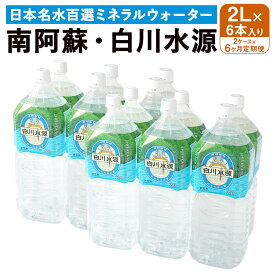 【ふるさと納税】 【6か月連続定期便】 日本名水百選ミネラルウォーター 「南阿蘇・白川水源」 2L×6本入り 2ケース×6か月 水 飲料水 天然水 日本名水 100選 熊本産純水使用 お料理 コーヒー 炊飯 保存 備蓄 1年間保存 ペットボトル 常温