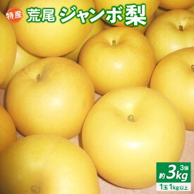 【ふるさと納税】特産 荒尾ジャンボ梨 3個 約3kg 新高梨 完熟 和梨 なし フルーツ 果物 くだもの 果実 旬 お取り寄せ 九州 熊本県 送料無料 【2026年10月上旬発送開始】