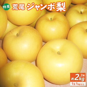 yӂ邳Ɣ[ŁzY rW{ 2 2kg V n a Ȃ t[c ʕ  ʎ {  B F{  y2025N10{Jnz