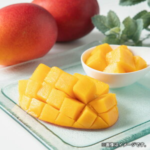 yӂ邳Ɣ[ŁzF{Y }S[ 4 v2kg ʕ  ʎ t[c {  Mtg Y B F{  ①z y2026N5{Jnz