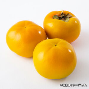 yӂ邳Ɣ[ŁzF{Y H` 3kg 8`10 ` JL  ʕ  ʎ t[c {  Mtg Y B F{ 퉷  y2025N11{Jnz yVX[p[SA