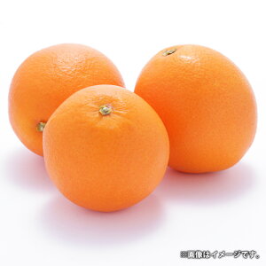 yӂ邳Ɣ[ŁzF{Y  3kg 7`9 ݂  ~J k IW ʕ  ʎ t[c {  Mtg Y B F{ V 퉷 y2026N3{