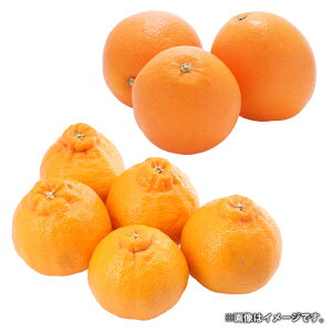 yӂ邳Ɣ[ŁzfR| G߂̊k 3kg 10`11 F{Y  k ݂ ~J  łۂ IW Hה lߍ킹 ʕ  ʎ t[c {  Mt