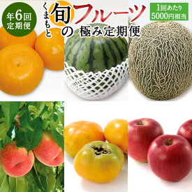 【ふるさと納税】【年6回定期便】くまもと旬のフルーツ極み定期便1（1回あたり5,000円相当）果物 くだもの 季節 フルーツ 詰め合わせ セット デコポン マンゴー 桃 ぶどう すいか 旬 定期便 6ヵ月 お楽しみ 九州 熊本県 送料無料