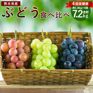 【ふるさと納税】 【4回定期便】ぶどう食べ比べ (7月・8月・9月・10月)シャインマスカット ピオーネ 種無しぶどう 巨峰 フルーツ 果物 葡萄 ブドウ 先行予約 送料無料 【2026年7月下旬〜10月