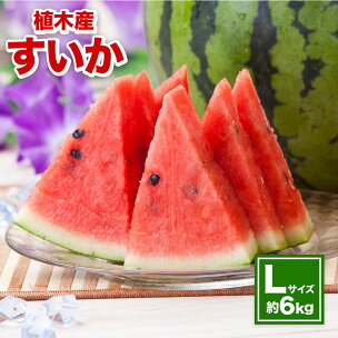 植木産 すいか Lサイズ 約6kg スイカ 西瓜 果物 ...