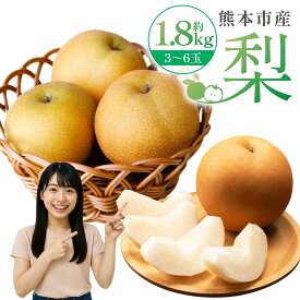 【ふるさと納税】＜ R8年熊本地震復興支援 ＞ 熊本市産 梨（幸水・豊水・秋月・新高など）約1.8kg（3～6玉） 7000円 なし フルーツ くだもの 果物 果実 熊本県産 国産 冷蔵 送料無料 【2026年8月下旬～10月上旬迄発送予定】