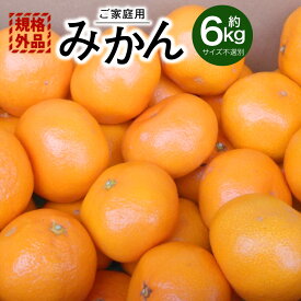 【ふるさと納税】 【規格外品】みかん ご家庭用 約6kg サイズ不選別 ミカン 蜜柑 柑橘 果実 フルーツ くだもの 果物 おやつ 熊本県産 国産 冷蔵 先行予約 送料無料 【2025年10月下旬～2026年2月上旬迄発送予定】