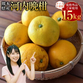 【ふるさと納税】 【規格外品】河内晩柑 ご家庭用 15kg 10000円 1万円 サイズ不選別 訳あり 和製グレープフルーツ みかん フルーツ 果物 柑橘 熊本県産 九州産 送料無料 【2026年3月下旬～6月下旬発送予定】