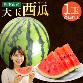 【ふるさと納税】 大玉 西瓜 1玉 8kg以上 10000円 1万円 すいか スイカ 西瓜 くだもの 果物 フルーツ 先行予約 熊本市産 熊本県産 九州産 国産 送料無料 【2026年5月上旬～7月上旬迄順次発送予定】