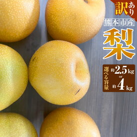 【ふるさと納税】＜選べる容量＞【訳あり】【数量限定】【先行予約】熊本市産 梨（幸水・豊水・秋月・新高など） 約2.5kg または 約4kg なし 果物 果実 フルーツ 果実 熊本県産 国産 熊本県 熊本市 送料無料 【2026年8月下旬～10月下旬発送予定】