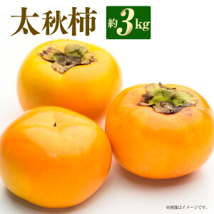 yӂ邳Ɣ[Łzyʌzys\zH` 3kg  JL ` イ ʕ ʎ { {̉ʕ  t[c F{Y Y F{ F{s s\  y2025N10