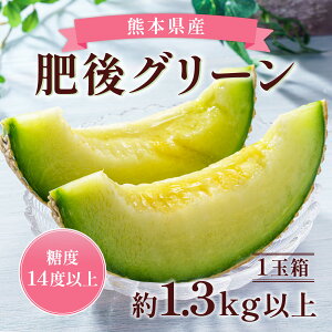 yӂ邳Ɣ[ŁzO[1 1.3kg ȏ  O[  ʕ t[c ʎ ʓ  x F{ F{s Y 퉷 y2026N6{`2026N6{