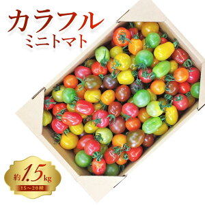 yӂ邳Ɣ[Łz 15`20̃Jt~jg}g v1.5kg  ~jg}g v`g}g n Mtg{bNX ϔ VN lߍ킹 T_ XC[c  ① Mtg 蕨 Y F{