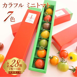 プチトマト 食品の人気商品 通販 価格比較 価格 Com