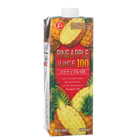 【ふるさと納税】 パイナップル100 計6L（1L×6本） パインアップル 100％ フルーツ くだもの 果物 果実 紙パック ジュース 飲料 国産 熊本県 熊本市 送料無料