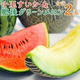 【ふるさと納税】 小玉スイカ ひとりじめ 黒小玉 ピノガール 1.5kg以上 肥後グリーンメロン 1.6kg以上 2玉セット 合計3.1kg以上 すいか メロン 果物 フルーツ 国産 九州産 熊本県産 熊本市産 送料無料 【2026年6月上旬～6月下旬迄順次発送予定】