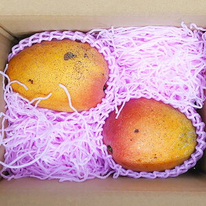 �y�ӂ邳�Ɣ[�Łz�F�{���Y ���n�}���S�[ �i�ƒ�p�j��1kg�O�� 2�`4�ʒ��x �}���S�[ �A�b�v���}���S�[ �ʕ� ���n �t���[�c�ʕ� �������� �ʎ� ����� �F�{�Y ��B�Y ���������y2026�N7����{�`8