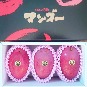 �y�ӂ邳�Ɣ[�Łz�F�{���Y ���n�}���S�[�i���ϔ����j 2L×3�ʓ� ���v��1.2kg�`1.3kg�O�� �F�{�}���S�[ �}���S�[ �A�b�v���}���S�[ �ʕ� �ʕ� ���n �t���[�c �ʎ� ����� �F�{�Y ��B�Y �F�{�s ��