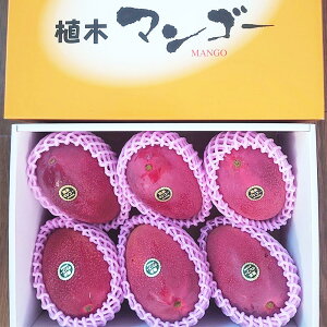 �y�ӂ邳�Ɣ[�Łz�F�{���Y ���n�}���S�[�i���ϔ����j��2kg�O�� 3~6�ʓ� �}���S�[ �A�b�v���}���S�[ �ʕ� �������� �ʎ� ����� ���n �t���[�c �F�{�Y ��B�Y ���������y2026�N7����{�`8�����{