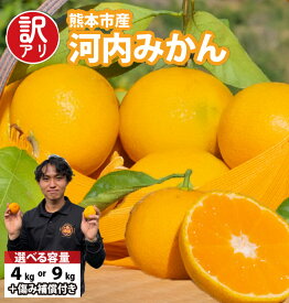 【ふるさと納税】 【訳アリ】「河内みかん堂」のみかん 選べる容量 4kg または 9kg 傷み補償付き（約5玉） みかん 極早生 早生 中生 普通早生 訳あり 家庭用 柑橘 果実 果物 くだもの 熊本県産 国産 送料無料 【2026年1月下旬まで発送予定】