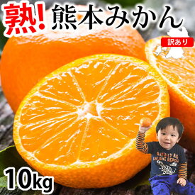 【ふるさと納税】 訳あり みかん 10kg ご自宅用 サイズ不選別 蜜柑 柑橘 果物 くだもの フルーツ 果実 おやつ 露地栽培 熊本市 国産 冷蔵 送料無料【2025年10月上旬～2026年3月上旬迄発送予定】
