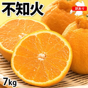 yӂ邳Ɣ[Łz 󂠂sm 7kg p TCYsI  k fR| fR݂ ʂ ʕ  t[c ʎ  F{s Y 퉷  y2026N1{`4{