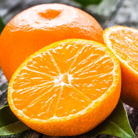 【ふるさと納税】訳ありみかん 約5kg【2025年10月下旬～2026年2月下旬発送予定】訳あり みかん フルーツ 果物 柑橘 熊本県産 九州産 送料無料