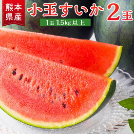【ふるさと納税】熊本県産 小玉スイカ ひとりじめ 黒小玉 ピノガール 2玉 3kg以上 1玉1.5kg以上 熊本 すいか 果物 フルーツ 西瓜 国産 九州産 熊本県産 熊本市産 送料無料 【2026年6月上旬～6月下旬迄順次発送予定】
