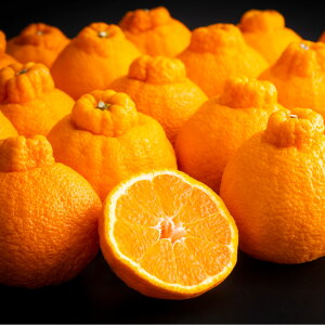 yӂ邳Ɣ[ŁzF{Y fR| 5kg 15`18 1ʓ270`330g łۂ ݂ ~J  k  ʕ ʎ t[c Y B F{ F{s  y2026N3{`3